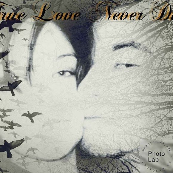 Meet your Posher, Daniel albert - Picture 1 of 1